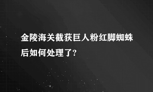 金陵海关截获巨人粉红脚蜘蛛后如何处理了?