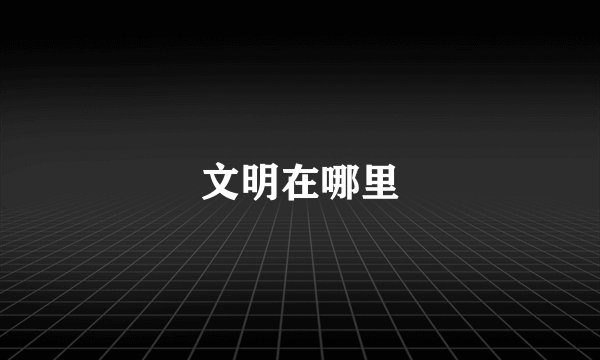 文明在哪里
