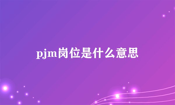 pjm岗位是什么意思