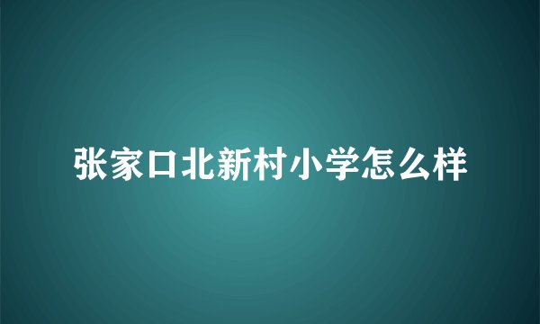 张家口北新村小学怎么样