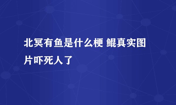 北冥有鱼是什么梗 鲲真实图片吓死人了