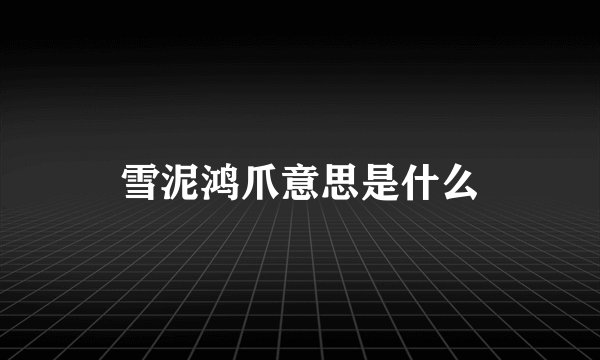 雪泥鸿爪意思是什么