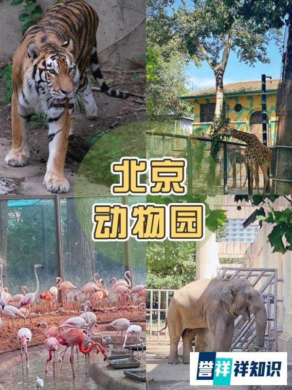 北京动物园行李寄存,真的方便,10元可以寄存一整天