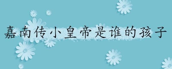 嘉南传小皇帝是谁的孩子