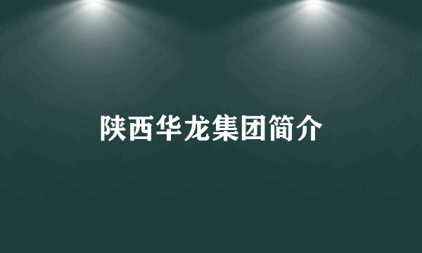 陕西华龙集团简介