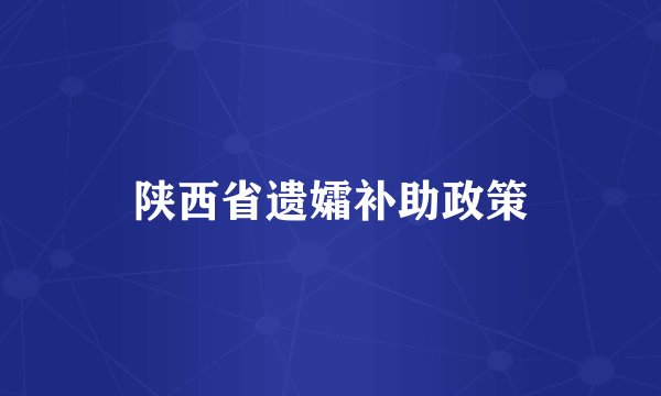 陕西省遗孀补助政策