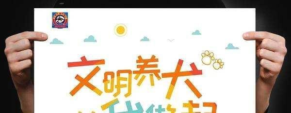 最新消息,武汉针对养犬修订草案:要求犬只乘电梯戴嘴套