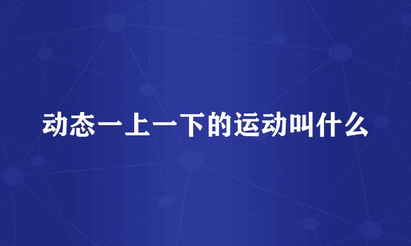 动态一上一下的运动叫什么