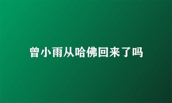 曾小雨从哈佛回来了吗