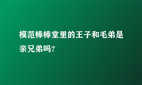 模范棒棒堂里的王子和毛弟是亲兄弟吗?