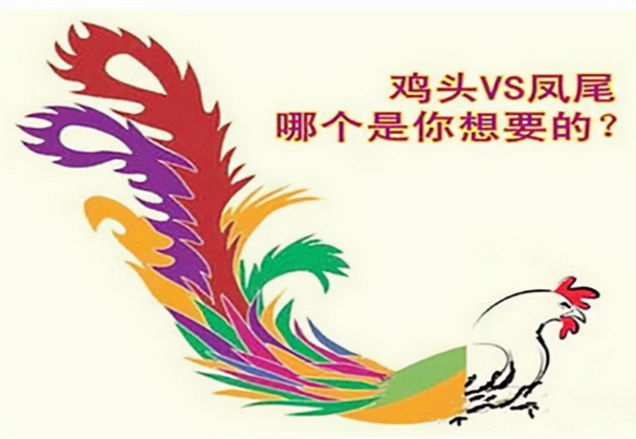 为什么说“鸡头”不如“凤尾”呢？