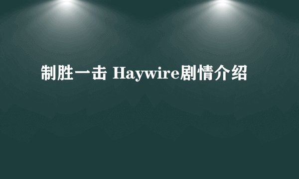 制胜一击 Haywire剧情介绍