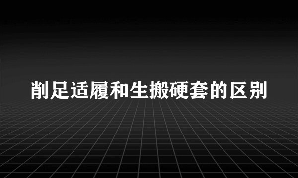 削足适履和生搬硬套的区别