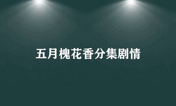 五月槐花香分集剧情