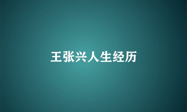 王张兴人生经历