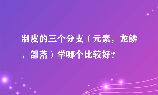 制皮的三个分支（元素，龙鳞，部落）学哪个比较好？