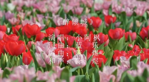 我沉沦几回因你倾城的美是什么歌