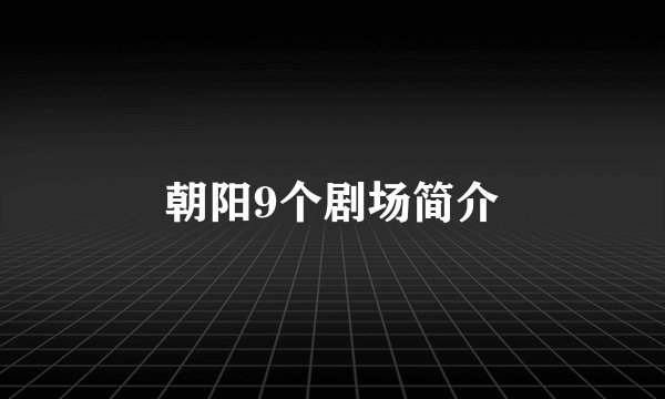 朝阳9个剧场简介