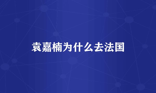 袁嘉楠为什么去法国