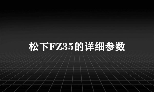 松下FZ35的详细参数