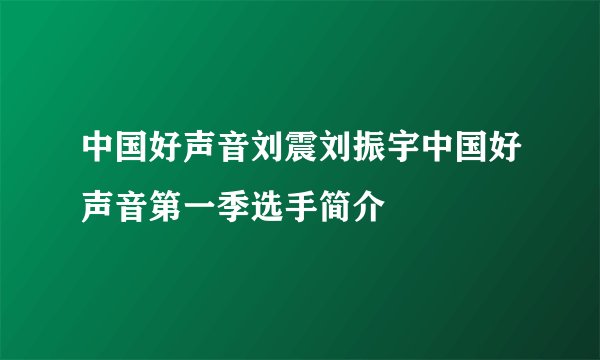 中国好声音刘震刘振宇中国好声音第一季选手简介