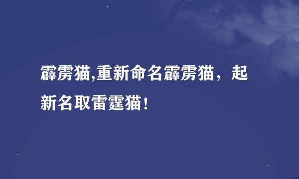 霹雳猫,重新命名霹雳猫，起新名取雷霆猫！