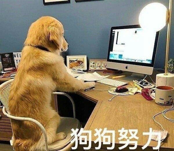 人民日报知多少|你了解人民日报的署名吗?