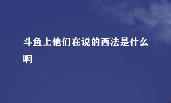 斗鱼上他们在说的西法是什么啊