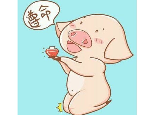 尊命与遵命哪一个是正确的