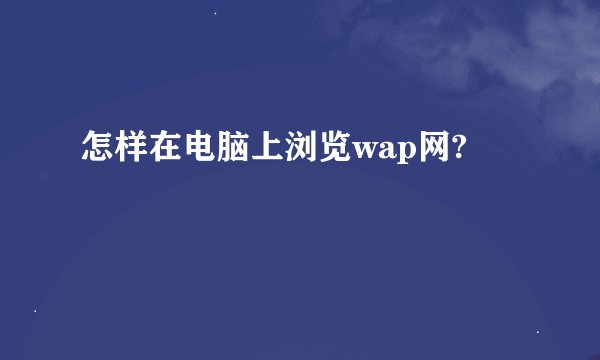 怎样在电脑上浏览wap网?