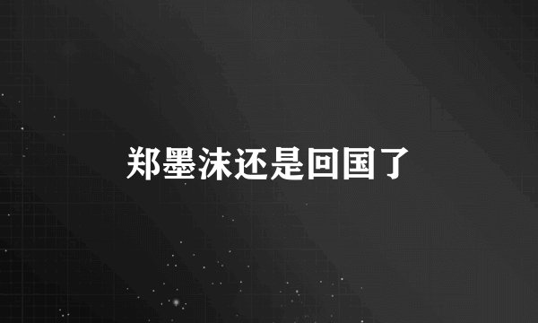 郑墨沫还是回国了