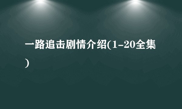 一路追击剧情介绍(1-20全集)