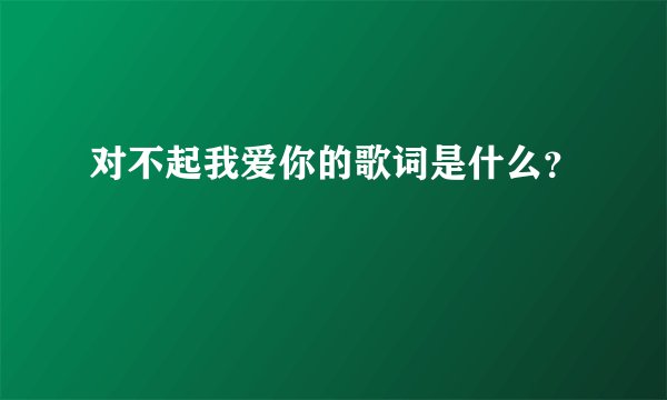 对不起我爱你的歌词是什么？