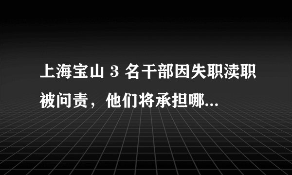 上海宝山 3 名干部因失职渎职被问责，他们将承担哪些法律责任？