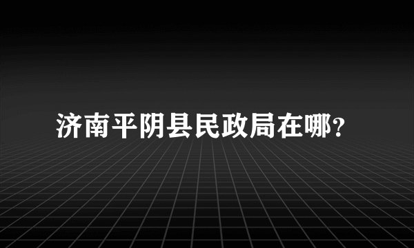 济南平阴县民政局在哪？