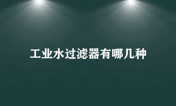 工业水过滤器有哪几种