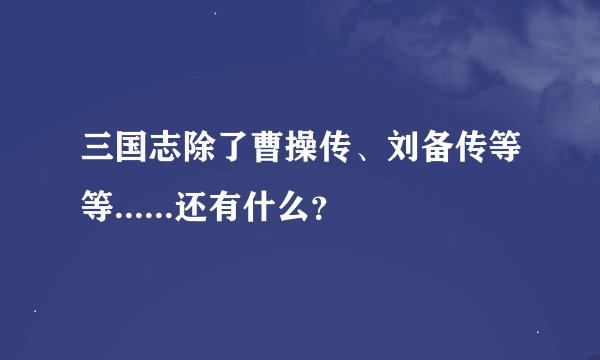 三国志除了曹操传、刘备传等等......还有什么？