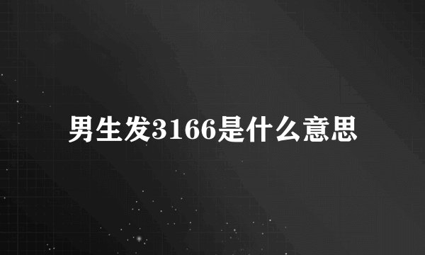 男生发3166是什么意思