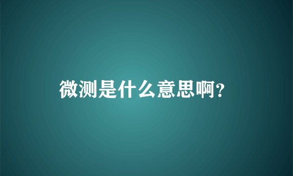 微测是什么意思啊?
