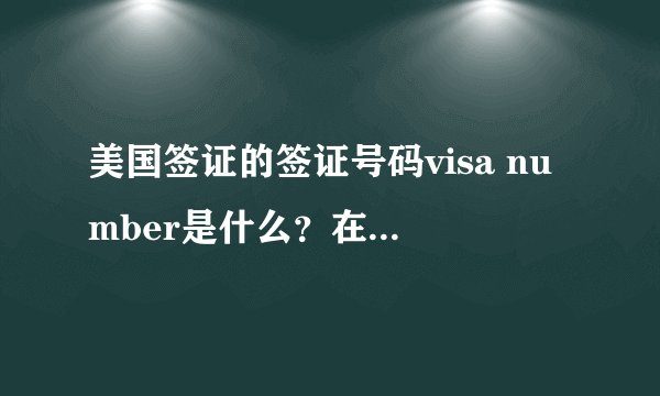 美国签证的签证号码visa number是什么？在哪里找到