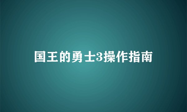 国王的勇士3操作指南