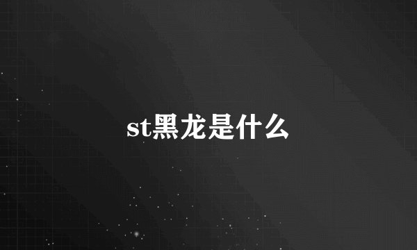 st黑龙是什么
