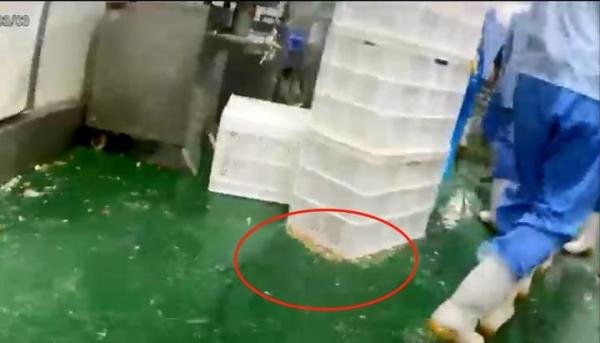 天津配餐公司违规脏乱差实锤！