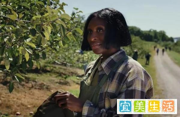 一人分饰五角，这是什么神仙演技！