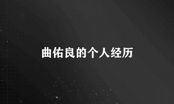 曲佑良的个人经历