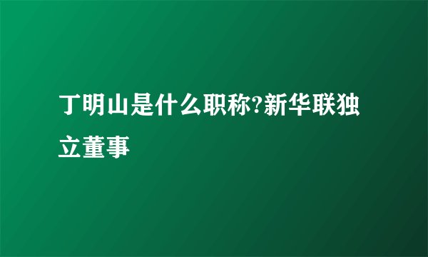丁明山是什么职称?新华联独立董事