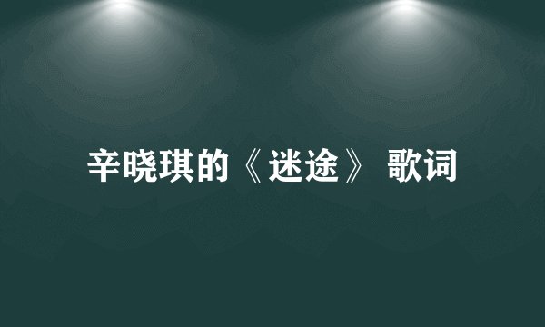 辛晓琪的《迷途》 歌词
