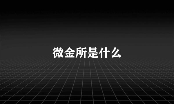 微金所是什么