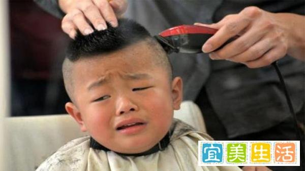 正月剃头舅舅的死亡率是多少？用大数据来揭秘！