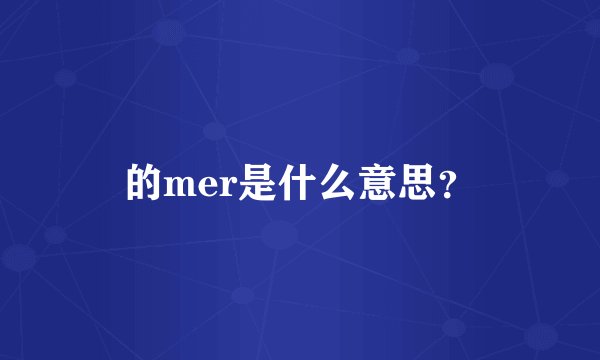 的mer是什么意思？